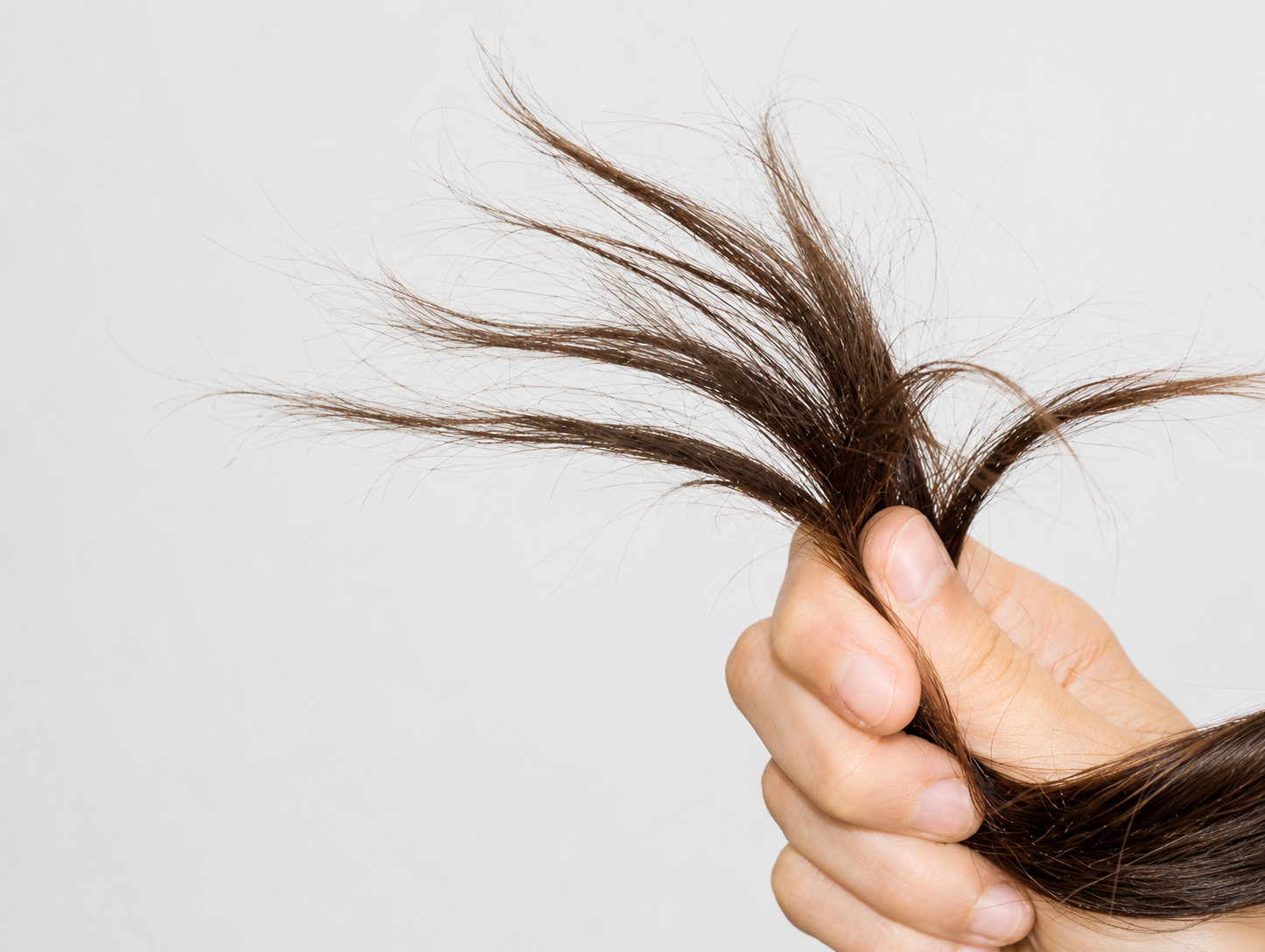 cabello seco por la cal como recuperarlo